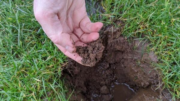 dirt, soil, hand, grass